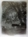 Sutters Fort Oak and Cart