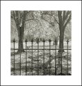 Iron Fence
