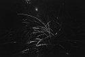 particle or wave?