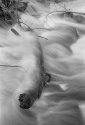 Brogo River 2