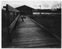 bessat cs25f4 hp5 1600 agfa premium8x10rc dec 2015532