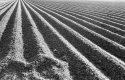Converging lines