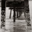 Fog and Surf