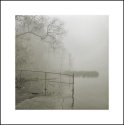 Fog and Fence