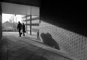 shadow walkers