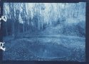 1st cyanotypes