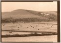 Salt Print  -  Towards Mount Caburn