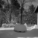 Picnic Postponed