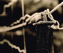 Frosted Fence Wire