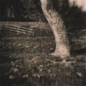 Percy's Glen