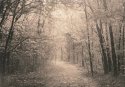 Fisherman's Trail Lith