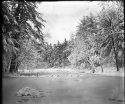 Snowfall on Dry Plate