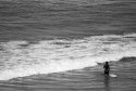 The Young girl and the Sea