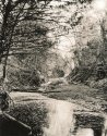 Cantrell Slough 2