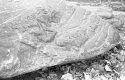Modern Petroglyphs