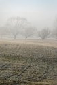 Out in the fog.