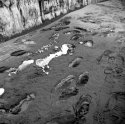 MSA Traces of people: Sandprints