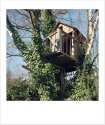 Tree house