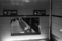 nyc/summer 2014