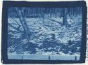 Cyanotype March-01-16 New Wall