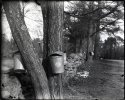 Buckets - Hand Coated Dry Plate
