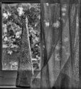 Windowsill