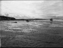 wild beach #1