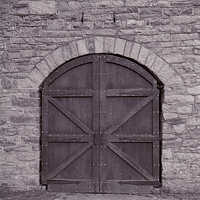 Archer_Carriage X850