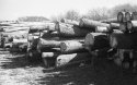 Wood Pile