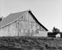 Barn New 2