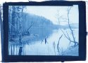 Cyanotype March-12-16 Watauga Point (8B)