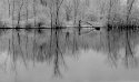 Winter 2