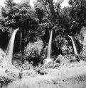 3R's (Rifle Falls, Rolleiflex, IR)