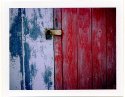 Shed Door