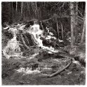 Big Hill Springs AB - Spring runoff