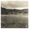 Rolling Pastures & Untilled Field