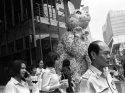 Giant_kitty