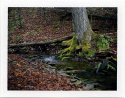 Ansley Hollow