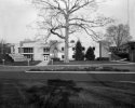 Memorial Tree Copy