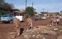 Poverty (Kenya)