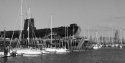 HMS Alliance (P417)