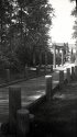 Path to the Viewing Tower