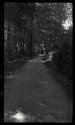 Shaded Path