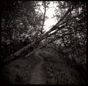 MSA - "This is the End (of the Path)"