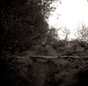 MSA - "Barely There Path"