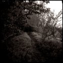 MSA - "Path for the Brave"