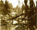SpringStreamPinhole