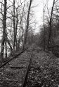 Tow Path