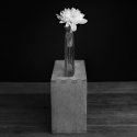 Flower On-Box