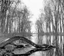 Lake St Clair Metropark, Michigan